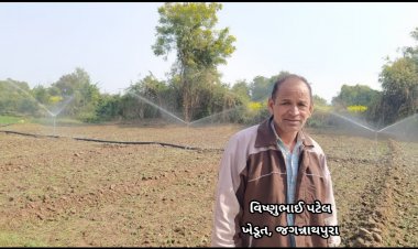 ઊંઝા સહિત ઉ.ગુ.માં પાણીના તળ નીચે જતાં ખેડૂતોએ સિંચાઈ માટે ફુવારા પદ્ધતિનો સહારો લેવાનું શરૂ કર્યું