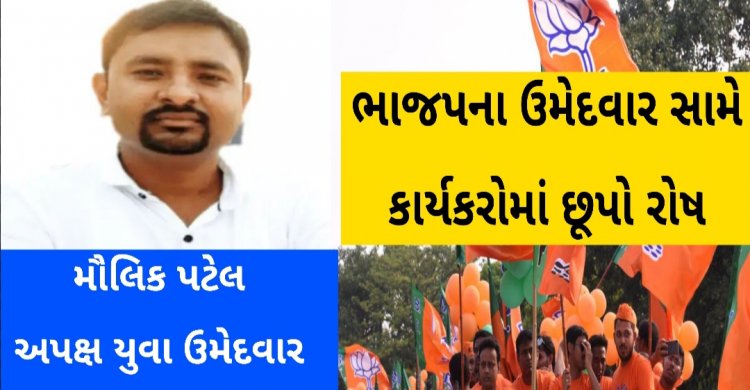 કામલી સીટ પર ભાજપના દિગજ્જ નેતાના સંબંધીને ટીકીટ આપતા છૂપો રોષ : અપક્ષને જીતાડવા મતદારો મેદાનમાં