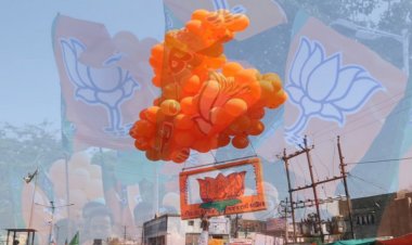 ઊંઝા :  ભાજપે સમાજવાદ, સગાવાદ તો ક્યાંક જૂથવાદને લીધે સહેલાઈથી જીતી શકાય એવી સીટો ગુમાવી પડી !