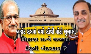 બજેટમાં શિક્ષણ માટે ફાળવેલ રૂપિયા કોના ખિસ્સામાં જાય છે ? ગુજરાત કરતાં દિલ્હીનું શિક્ષણ મોડેલ કેમ પ્રશંસનીય છે તેની પોલ ખુદ સરકારે જ ખોલી !