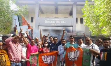 ઊંઝા : ભાજપના 19 કોર્પોરેટરોને અકબંધ રાખવા પાછળ કોણ છે માસ્ટર માઈન્ડ નેતા?