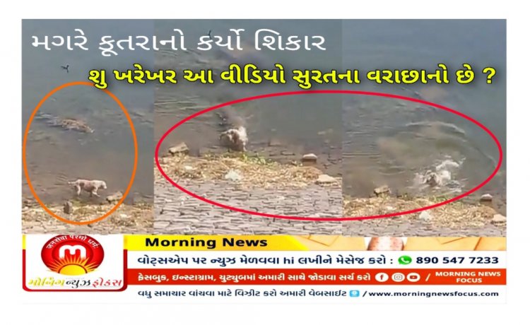 Factcheck : શ્વાન નો શિકાર કરતો મગરનો વિડીયો સુરતની તાપી નદી નો હોવાનો દાવો કેટલો સાચો ? ખરેખર આ વીડિયો ક્યાંનો છે ? જાણો સત્ય