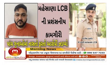 મહેસાણા : LCB પોલીસે છેલ્લા એક વર્ષથી આ પાંચ ગુનાઓમાં નાસતો-ફરતો આરોપી ઝડપી લીધો