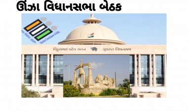 ખળભળાટ / ટીકીટ ફાળવણી પહેલાં જ ઊંઝા ભાજપમાં ભડકો ! શુ વાત દિલ્હી સુધી પહોંચી ?