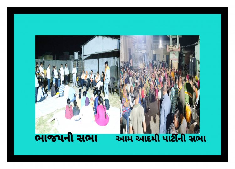 વિજાપુર : ભાજપની સભાઓમાં લોકોની પાંખી હાજરી, AAP ની સભાઓમાં લોકો સ્વયંભૂ ઉમટી પડે છે, જાણો કારણ