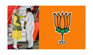 Exclusive : ભાજપની રેકર્ડ બ્રેક જીત માટે અસલી હીરો કોણ ?