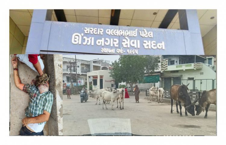 ઊંઝા : ભાજપ શાસિત ન.પા.ના શાસકો 'તબેલા માંથી ઘોડા છૂટયા બાદ તાળા મારવા નીકળ્યા' : લોકોમાં આક્રોશ
