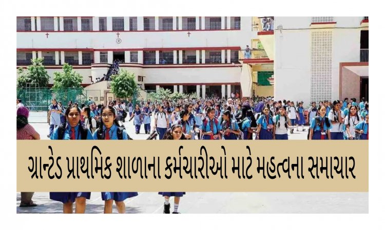 આનંદો ! શાળાના કર્મચારીઓને માસિક રૂ.1,000 તબીબી ભથ્થું મળશે