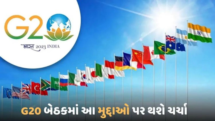 G20 બેઠકમાં થશે આ મુદ્દા પર ચર્ચા