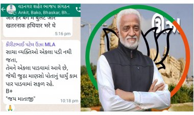 ખળભળાટ / ઊંઝાના ધારાસભ્યના વાયરલ મેસેજથી ગુજરાત ભાજપમાં હડકંપ ! કોની તરફ ઈશારો ?