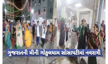 ગુજરાતની આ ' મીની ગોકુલધામ ' સોસાયટીમાં વસુધૈવ કુટુમ્બકમ ની થીમ પર ગરબા યોજાયા