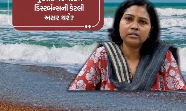 Gujarat weather: ગુજરાત પર વેસ્ટર્ન ડિસ્ટર્બન્સની કેટલી અસર થશે? હવામાન વિભાગની લેટેસ્ટ આગાહી