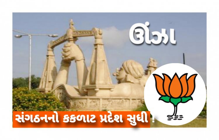 ઊંઝા : ભાજપ શહેર અને તાલુકા સંગઠનમાં મોટા ફેરફારના એંધાણ!