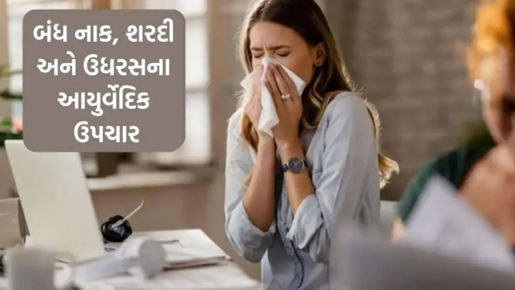 Ayurvedic Remedies: બદલાતી ઋતુમાં નાક બંધ થઈ ગયું છે? શ્વાસ લેવામાં તકલીફ હોય તો આ 5 આયુર્વેદિક ઉપચાર કરો