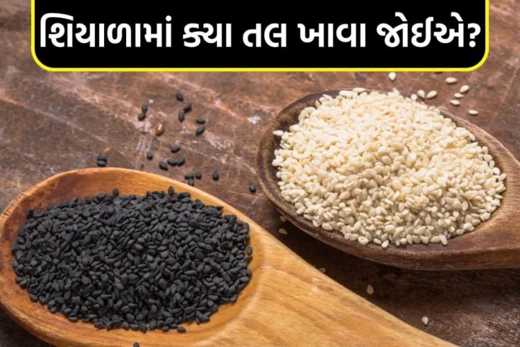 શિયાળામાં ક્યા તલ ખાવા જોઈએ? સફેદ અને કાળા તલમાં શું હોય છે ફરક