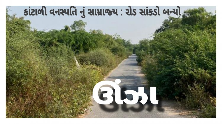 ઊંઝા : વિકસિત તાલુકાની કાંટાળી તસ્વીર : રોડ રસ્તાઓ મુદ્દે લોકોમાં આક્રોશ ! ધારાસભ્યની નિષ્ક્રિયતા ?