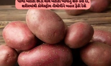 શાકભાજીનો બાપ છે આ અનોખા બટાટા, શરીરની ચરબી ઓછી કરી કોલેસ્ટ્રોલ ઘટાડી દેશે