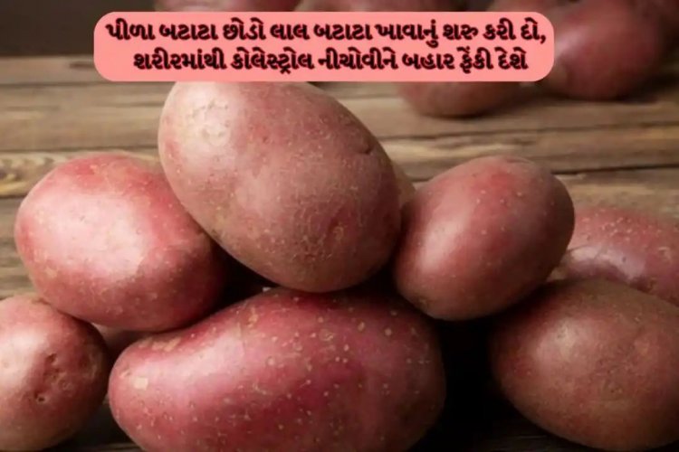 શાકભાજીનો બાપ છે આ અનોખા બટાટા, શરીરની ચરબી ઓછી કરી કોલેસ્ટ્રોલ ઘટાડી દેશે