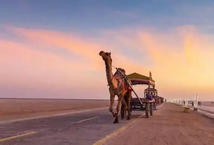 Kutch: કચ્છના ધોરડો સફેદ રણમાં હવે પ્રવાસીઓ માટે નવું આકર્ષણ, જાણો