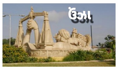 ઊંઝામાં મલ્ટી સ્પેશિયાલિટી હોસ્પિટલ બનાવવાની કોણે કરી માંગ ? શું છે કારણ ?