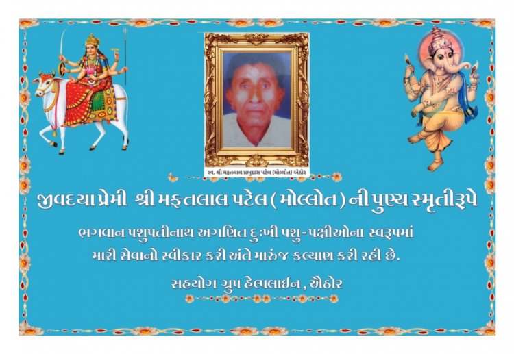 માનવતા મહેકાવતો કિસ્સો : ખેતરોમાં રખડતા શ્વાનો માટે રોટલી ઘર શરૂ કરાયું, જાણીને કરશો પ્રસંશા