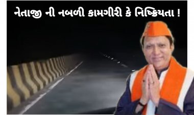 દિવા તળે અંધારું : સિદ્ધપુર ના કાકોશી બ્રિજ પર સ્ટ્રીટ લાઈટો ક્યારે નંખાશે ? ન.પા.પ્રમુખે શું કહ્યું ? જાણો