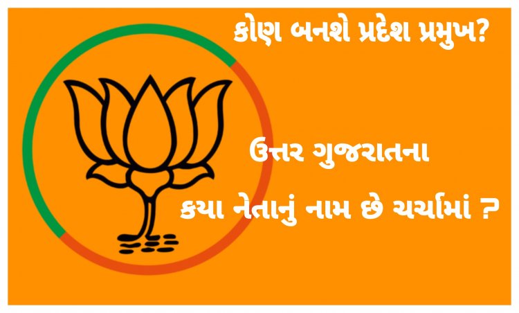Exclusive/ કોણ બનશે ગુજરાત ભાજપ પ્રદેશ પ્રમુખ ? ઉત્તર ગુજરાતના કયા નેતાનું નામ છે ચર્ચામાં ?