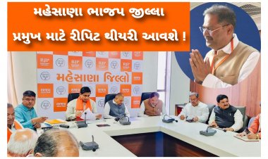 Exclusive મહેસાણા : જિલ્લા ભાજપ પ્રમુખ માટે રિપિટ થીયરી અપનાવાય તો સંગઠન ને ફાયદો કે નુકશાન ? શું છે કાર્યકરોના દિલમાં ?