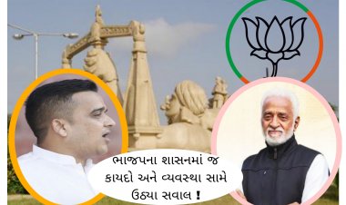 ઊંઝામાં ભાજપના શાસનમાં જ  કાયદો અને વ્યવસ્થા સામે ઉઠ્યા સવાલ : વાહન ચોરી અને ઘરફોડ ચોરીના ગુનાઓ વધ્યા