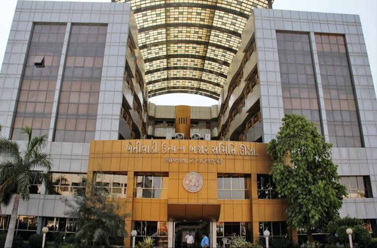 ઊંઝા : APMC માં મચ્યો ખળભળાટ : માર્કેટ યાર્ડ બંધ રાખવા મુદ્દે વેપારીઓએ લીધો મોટો નિર્ણય