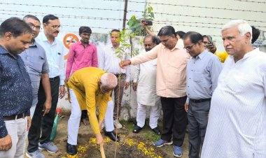 ઊંઝા : જેસીસ ક્લબ દ્વારા શહેરને હરિયાળું બનાવવા અનોખો પ્રયાસ