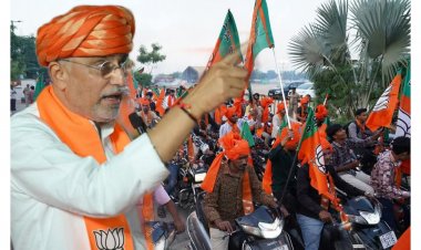 કાનાફૂસી: શું ખરેખર દેવ દિવાળી પછી સંગઠનમાં થશે નાના મોટા ફેરફાર ? જગદીશ વિશ્વકર્માએ શું આપ્યો છે સંકેત ?